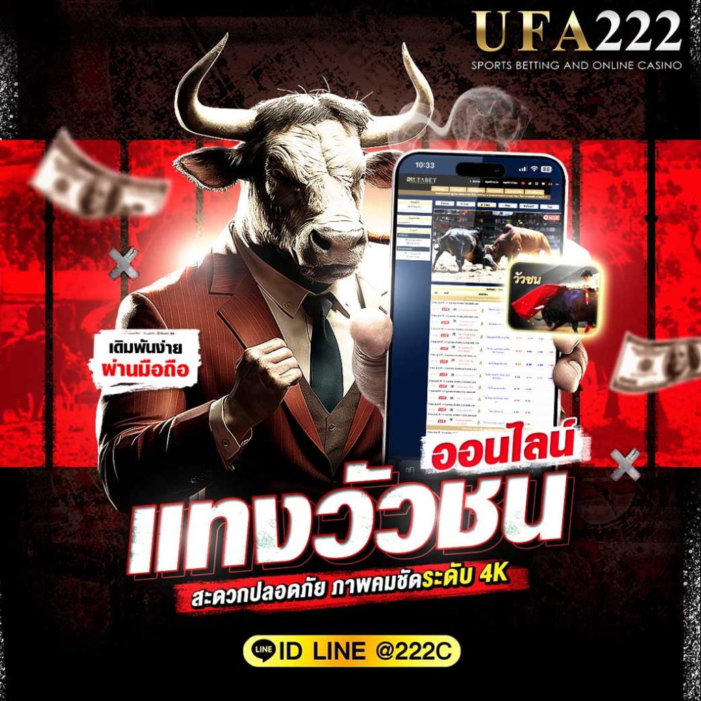 แทงวัวชน